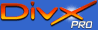Codec DivX 5.02 pro